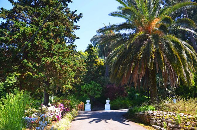Ботанический сад Батуми, экскурсионный тур